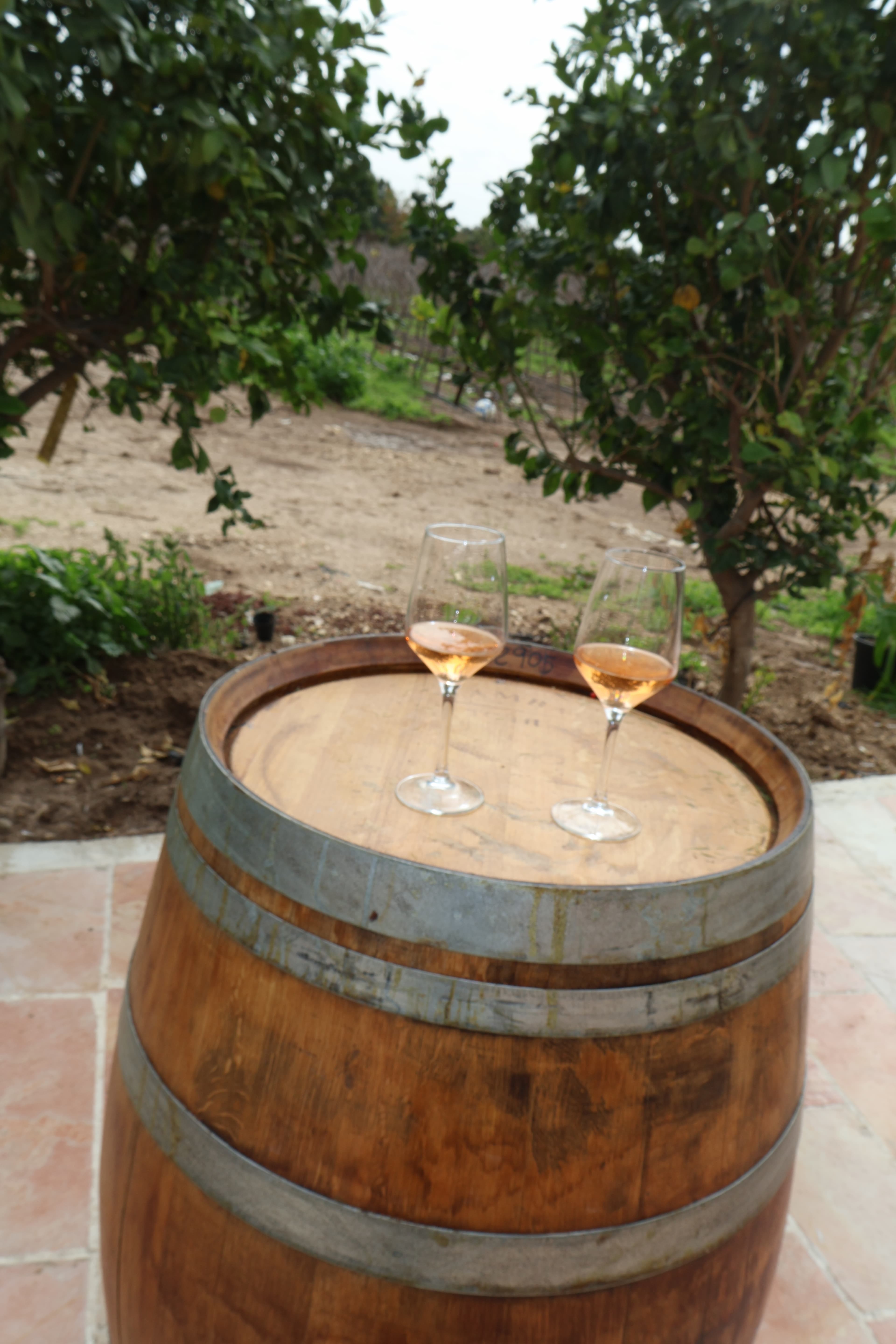 אווירה בכרם