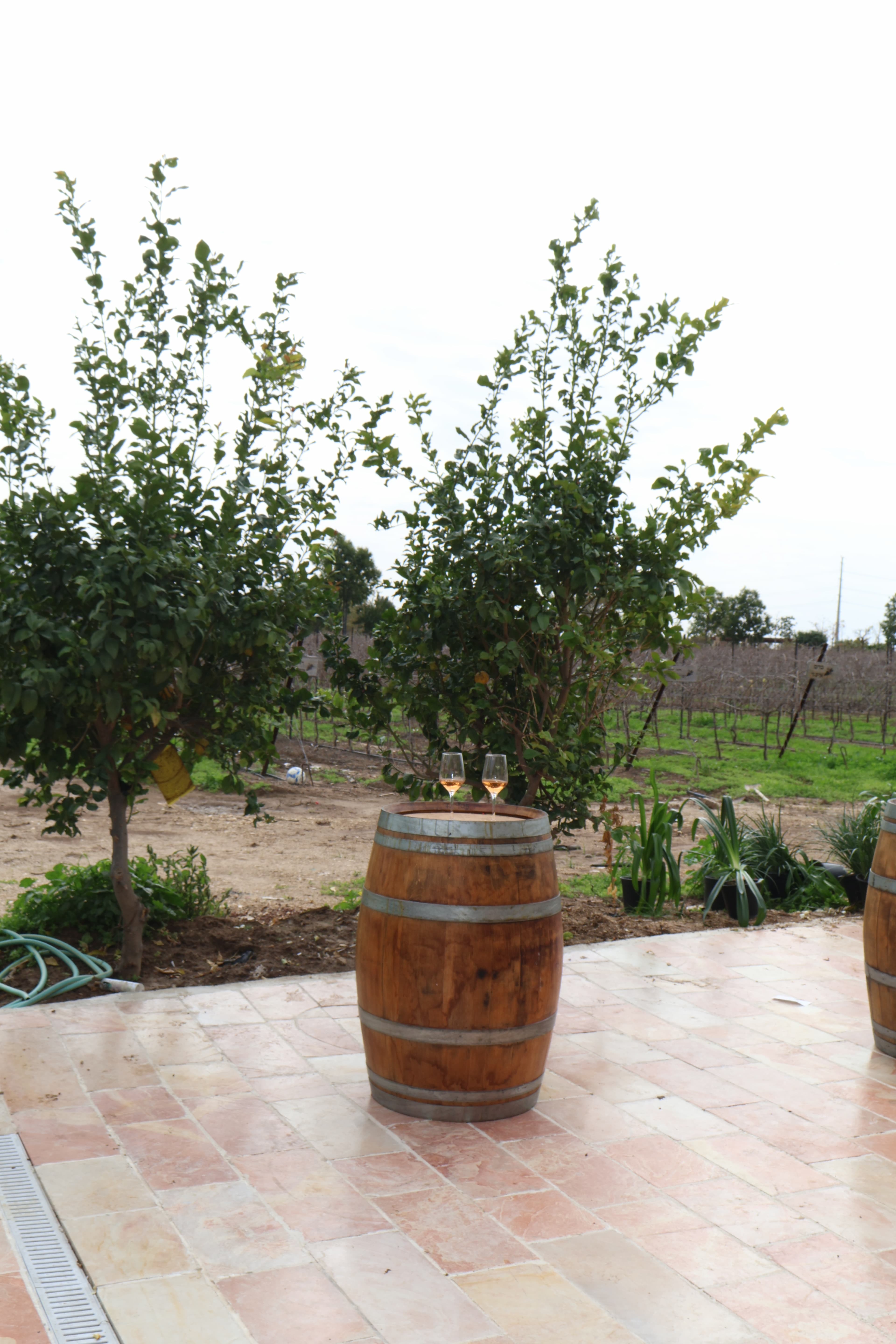 שולחן ערוך עם יין