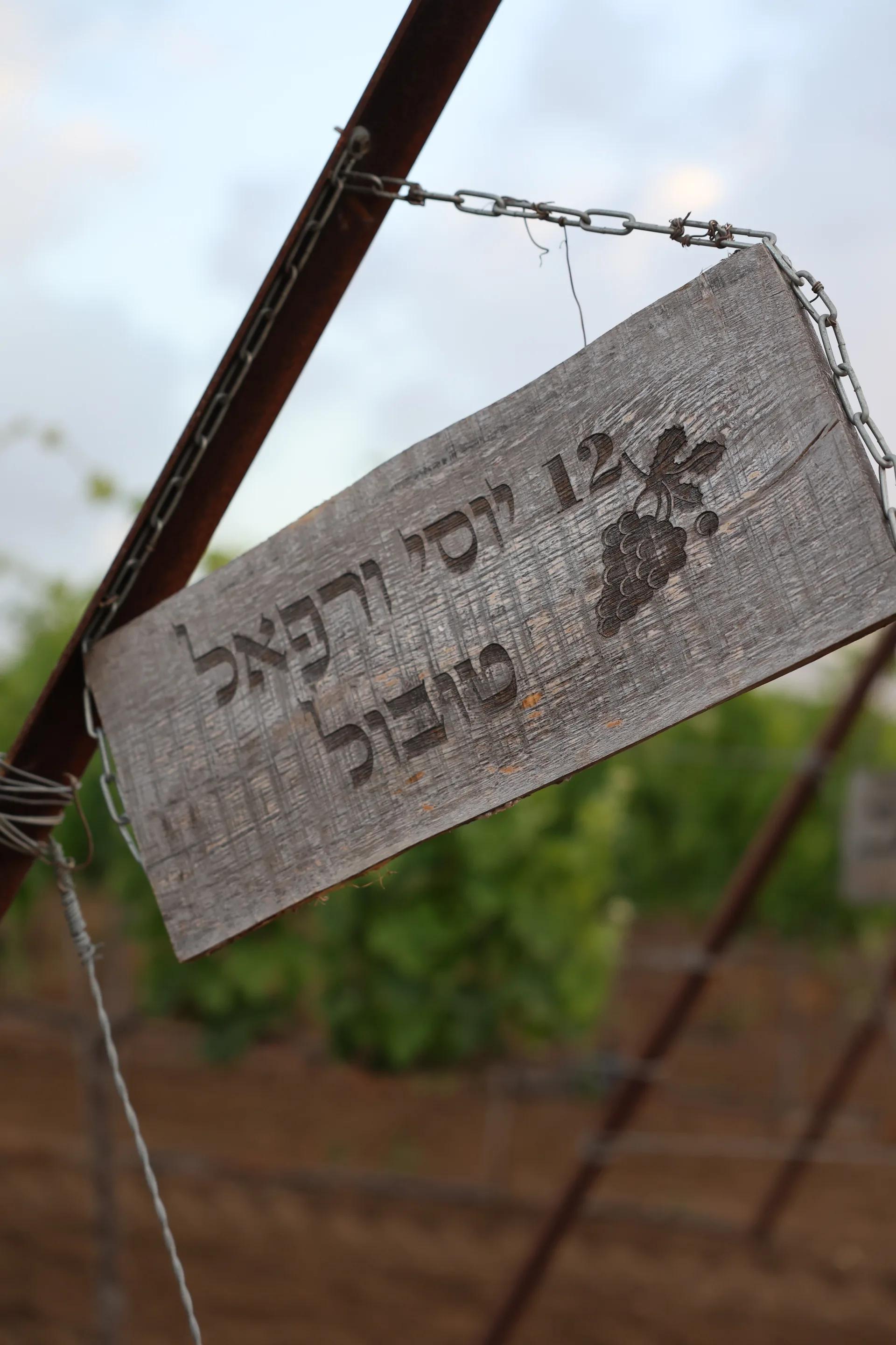כרם דניאלה — המקום ביום #279